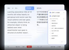2026年有道翻译词典支持翻译采访对象的英文录音吗?