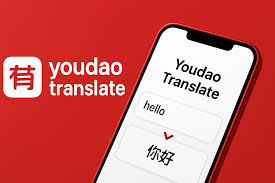 2026年有道翻译词典支持翻译采访对象的英文录音吗?